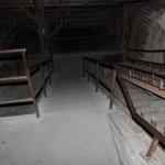 IMG_7534 (May 28, 2024)